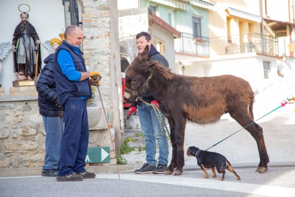 All’Ecomuseo di Fagagna torna la Fieste dal purcitâr